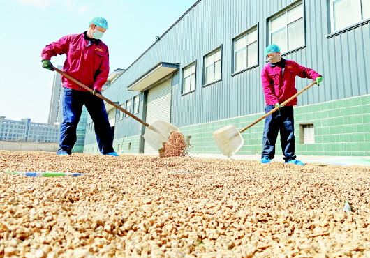 定西隴西縣：開足馬力復工復產(chǎn)全力保障藥品供給