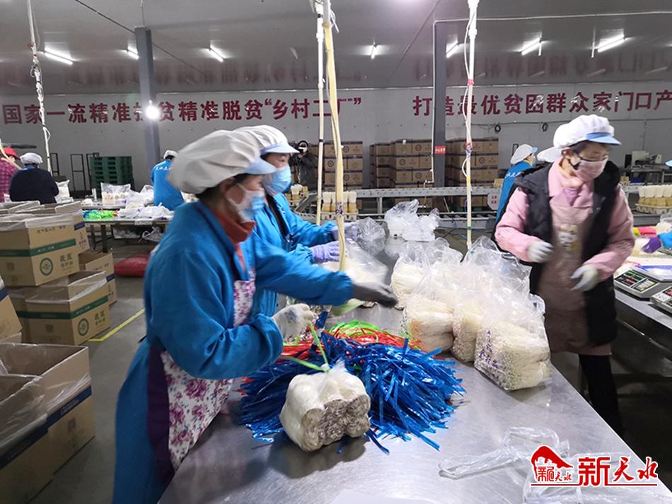 扶貧車間“春意濃”—天水多措并舉統(tǒng)籌推動扶貧車間有序復(fù)工復(fù)產(chǎn)紀(jì)實