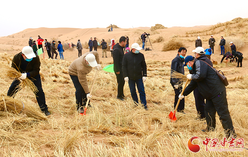 不“疫”樣的植樹(shù)節(jié)！甘肅省新聞戰(zhàn)線(xiàn)工作者攜手播綠“八步沙”（圖+視頻）