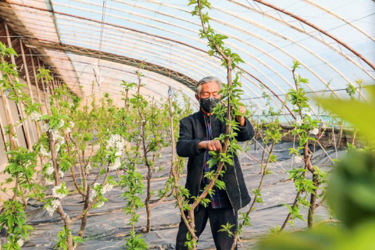 銅城復蘇：春光明媚，邀你共賞芳華（組圖）