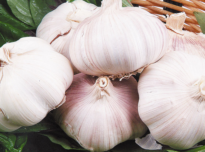 “蒼山大蒜”歐洲市場(chǎng)闖關(guān)記