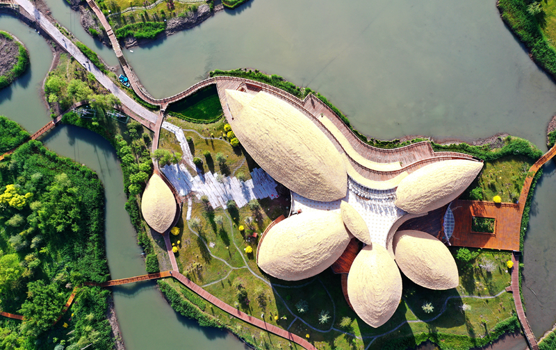 【飛閱甘肅】張掖國家濕地公園：碧波萬頃風(fēng)光美