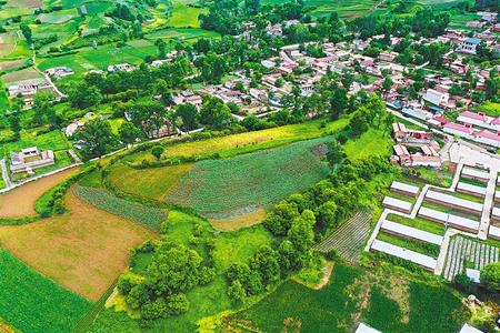 【溫暖的回響 滄桑巨變 飲水思源】這條路，通往幸福