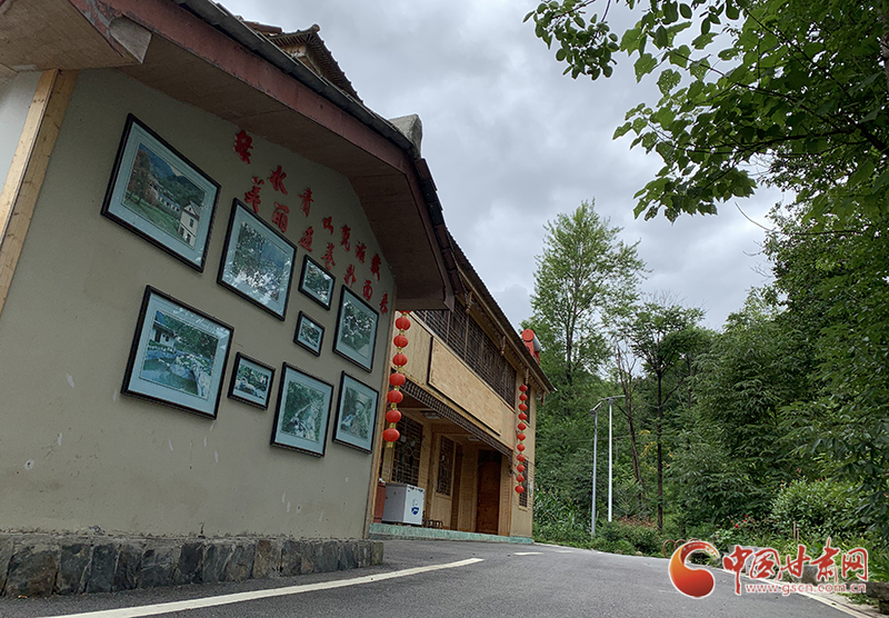 【走向我們的小康生活】村美、業(yè)興、民富……康縣何家莊描繪鄉(xiāng)村振興新畫卷（圖）