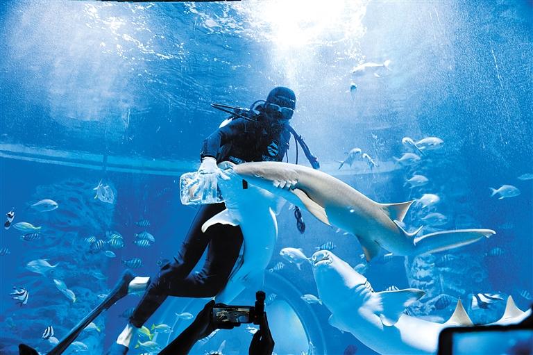 蘭州海洋公園 金昌火星1號(hào)基地 這個(gè)暑假我們“上天入?！?>
        </a><em>蘭州海洋公園 金昌火星1號(hào)基地 這個(gè)暑假我們“上天入?！?/em></li>
    <li><a  target=