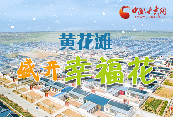 【跟著總書記看甘肅】長圖|武威黃花灘盛開幸?；?