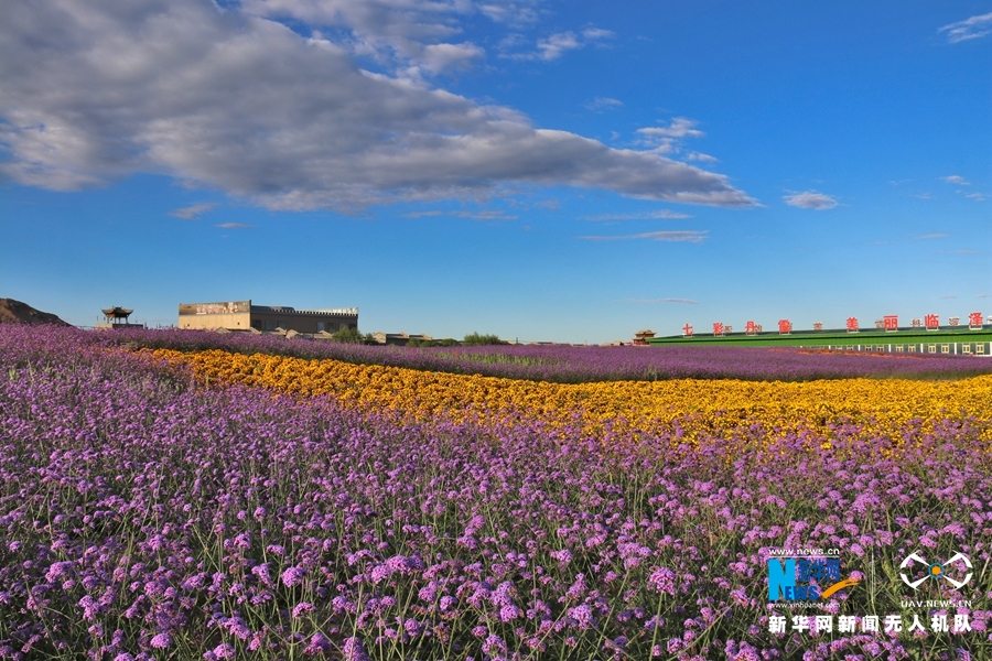 【“飛閱”中國】鳳凰花?！罢钩帷钡は伎?>
        </a><em>【“飛閱”中國】鳳凰花海“展翅”丹霞口</em></li>
    <li><a  target=
