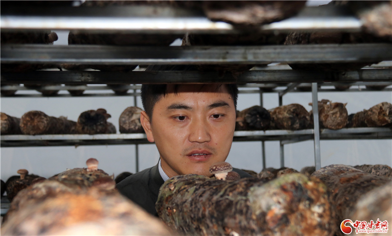 110年！何家溝村終于有了集體經(jīng)濟(jì)——中建二局黨建結(jié)對幫扶成效顯著