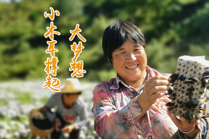 海報(bào)丨他們，乘“豐”破浪！