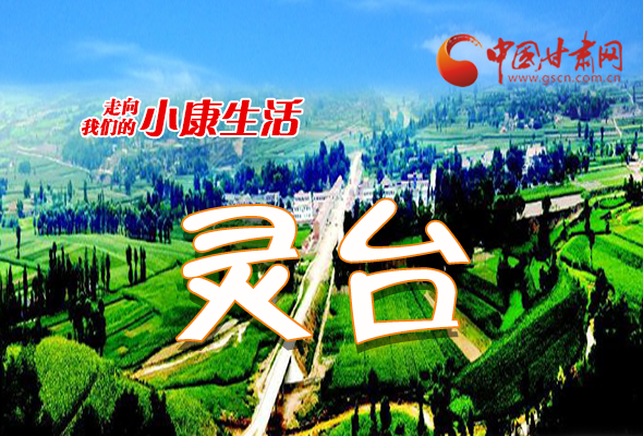 【走向我們的小康生活】長圖|靈臺：產業(yè)花開富萬家