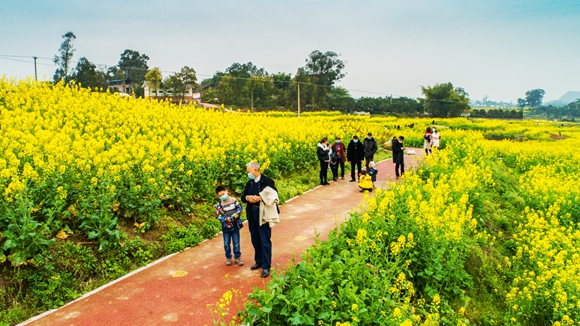 游客在花海里踏青。廖濤 攝