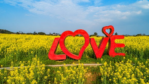 “l(fā)ove”創(chuàng)意拍照墻。廖濤 攝