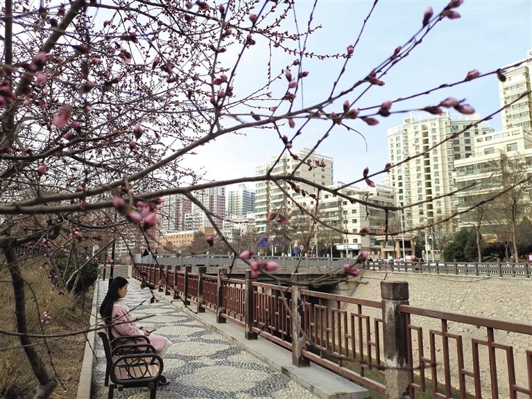 蘭州“第一朵花”開了！