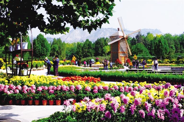 見縫播綠扮靚城市顏值 興辦實事提升居民幸福感 下足“繡花功夫”打造“品質安寧”