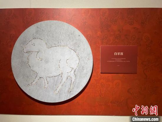 圖為展覽現(xiàn)場(chǎng)?！〗瓧顭?攝