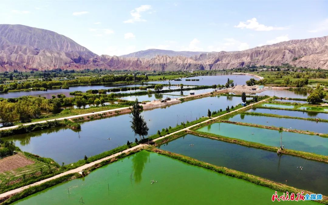 一秒入畫！太極島濕地風(fēng)光秀麗