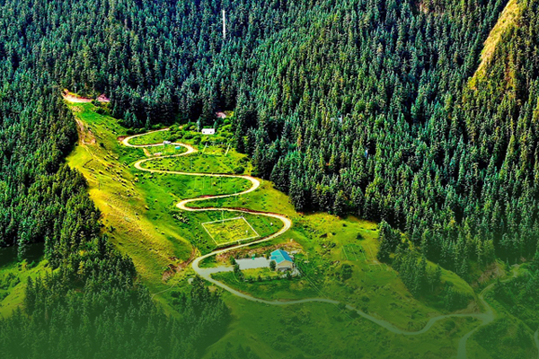 海報(bào)|祁連山保護(hù)區(qū)生態(tài)環(huán)境問題整改全面完成！