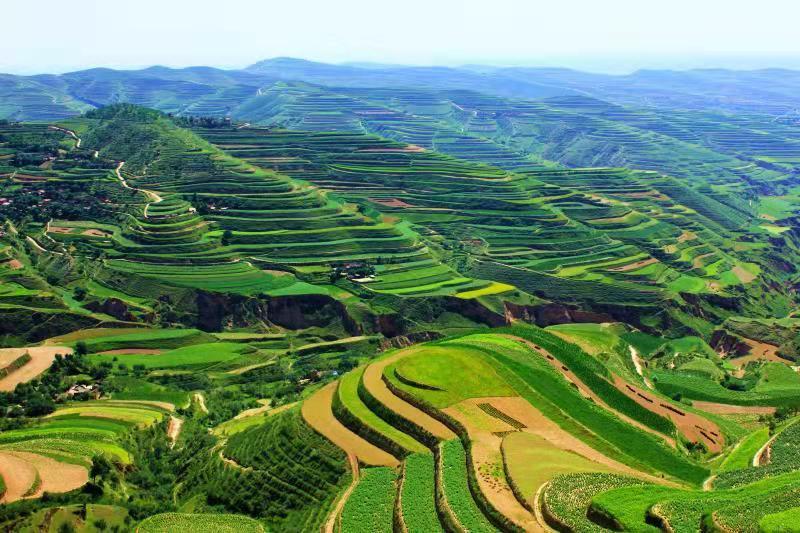 追趕進位，跑好脫貧后的“第一棒”——定西市委書記戴超談“后脫貧”時代定西高質量發(fā)展