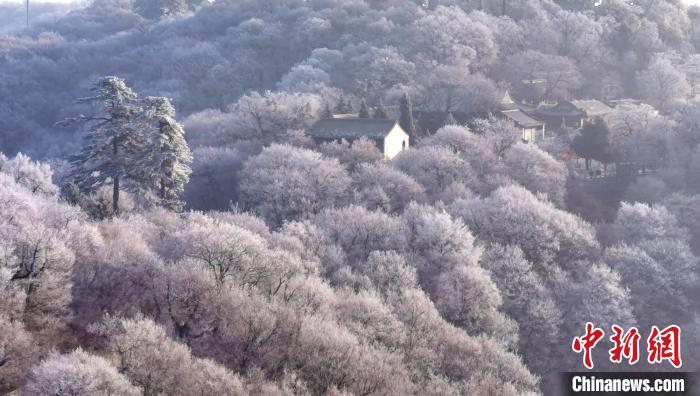 圖為霧凇美景?！⌒煺袢A 攝