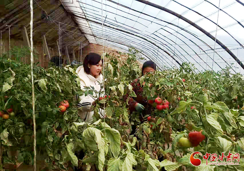 【小康路上看老鄉(xiāng)】甘肅靜寧：人勤春來(lái)早 多措備春耕