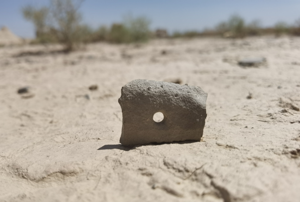 插圖1：河西走廊上遺存的古陶片。攝影：陳曉斌。拍攝日期：2020年6月。