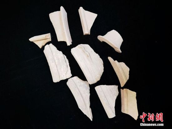 圖為靜寧縣賈河鄉(xiāng)竇坪村出土的彩陶片、紅陶片。 夏劍鋒 攝