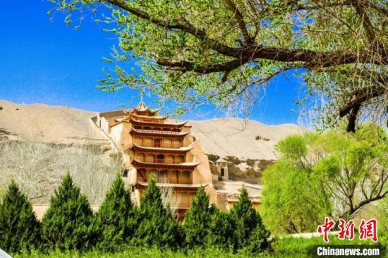 4月的敦煌莫高窟景區(qū)春意盎然。(資料圖) 王斌銀 攝