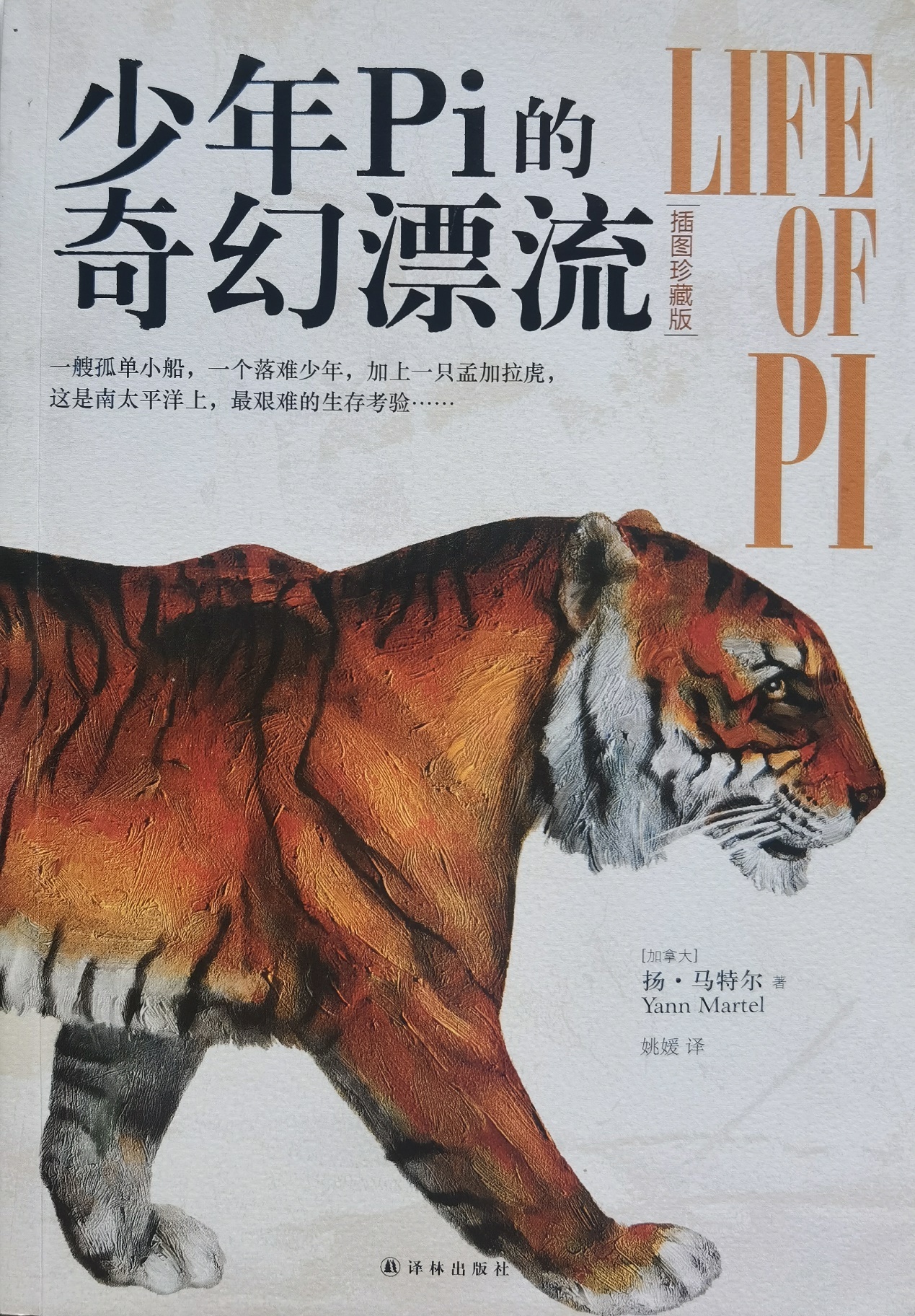 插圖1：揚？馬特爾的小說《少年pi的奇幻漂流》封面