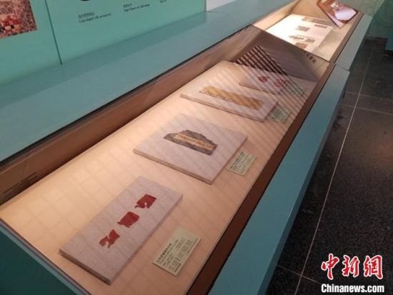 圖為展覽現(xiàn)場?！《鼗脱芯吭汗﹫D