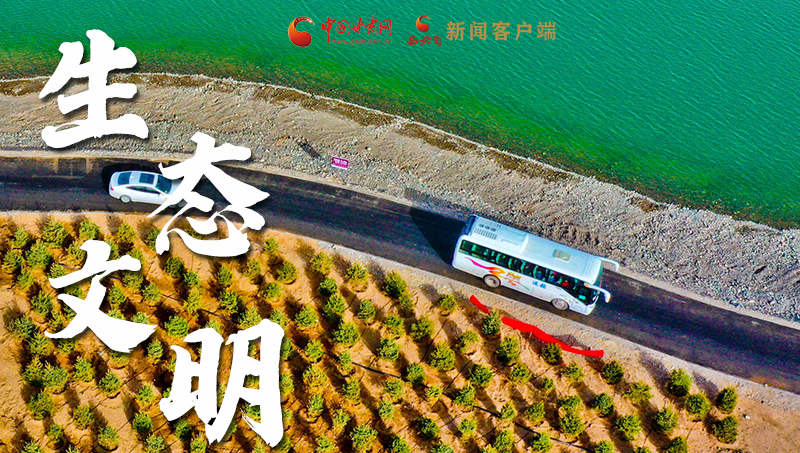 彈幕海報丨熱議甘肅省委十三屆十六次全會 網(wǎng)民聲音在回響！