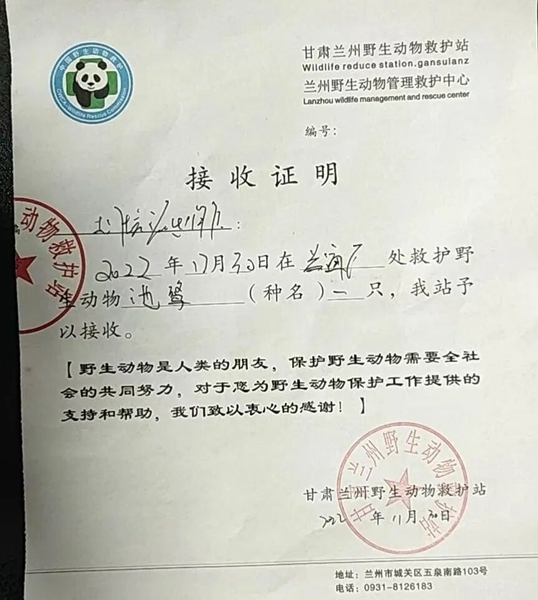 受到救助的池鷺被蘭州野生動物保護站接收。（蘭州市公安局七里河分局供圖）