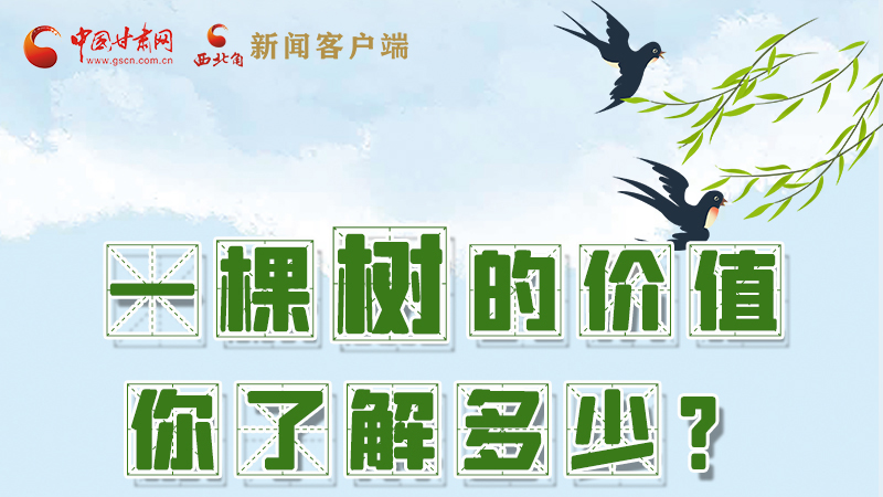 圖解|一棵樹的價值你了解多少?來看！