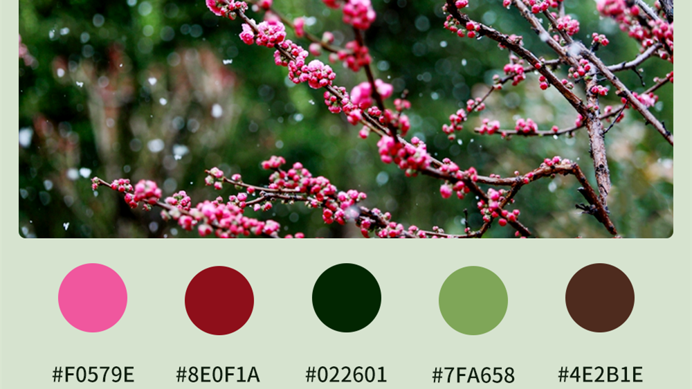 微海報|收藏！色卡里的春日甘肅