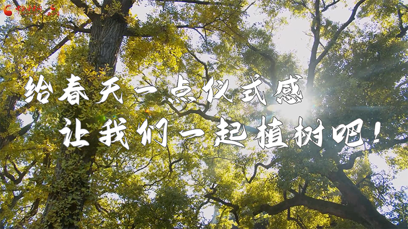 短視頻|給春天一點儀式感，讓我們一起植樹吧！