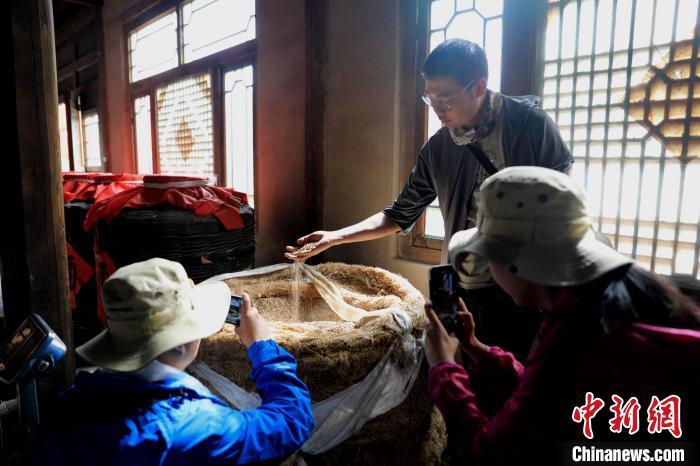 圖為青稞酒文化展示。　薛蒂 攝