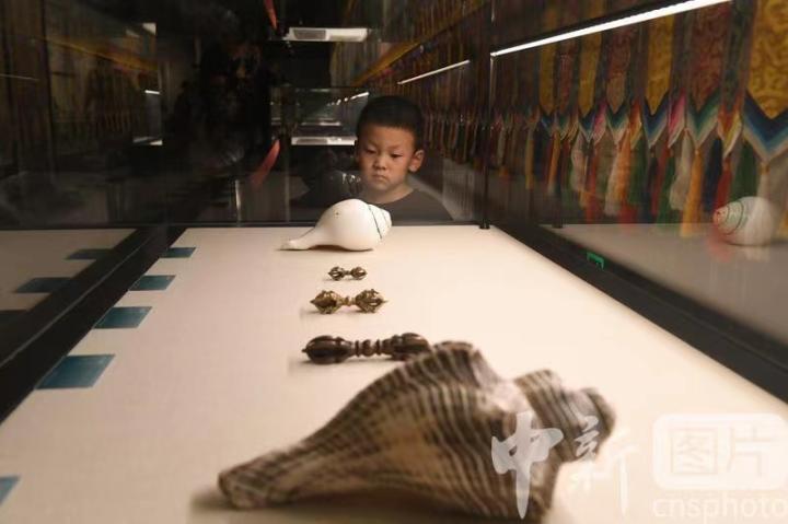 圖為展出的“白海螺法器”吸引小觀眾。 中新社記者 戴文昌 攝