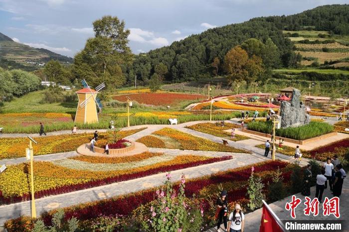 圖為航拍甘肅甘南臨潭縣八角鎮(zhèn)，花海吸引游人。(資料圖)高展 攝
