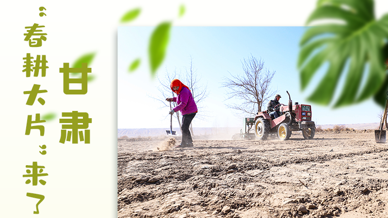 【甘快看】海報|瞧！甘肅“春耕大片”來了