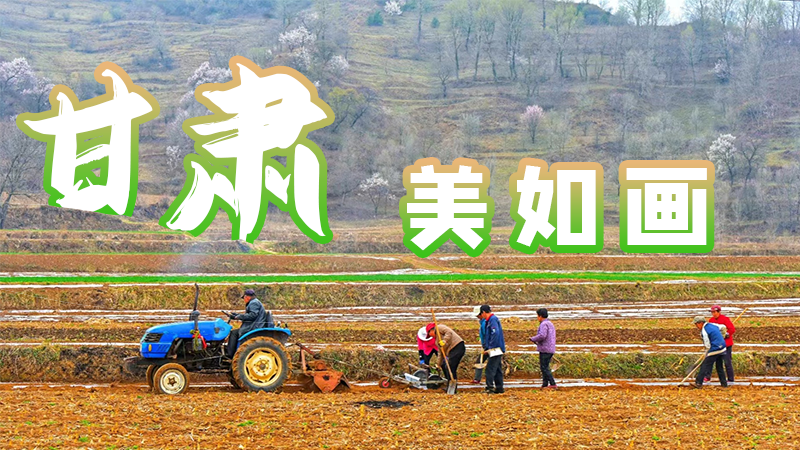 微海報(bào)|甘肅，美如畫