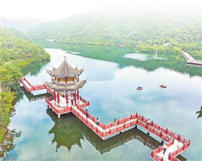 1725322053112588.jpg 5.jpg