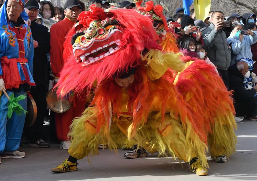 蘭州北獅表演現(xiàn)場。受訪者供圖