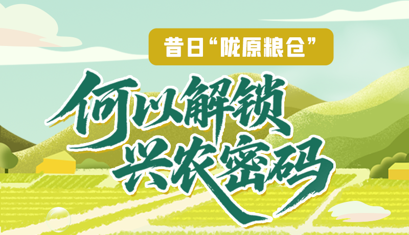 【理響中國·話隴點睛（3）】昔日“隴原糧倉”，何以解鎖“興農密碼”