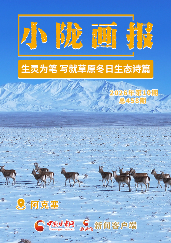 【小隴畫報·458期】阿克塞:生靈為筆 寫就草原冬日生態(tài)詩篇
