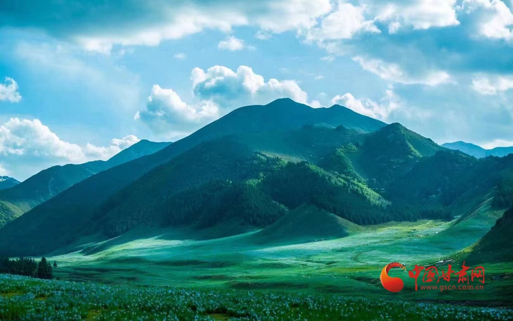 雄峙祁連守青綠 生態(tài)賦能啟新程