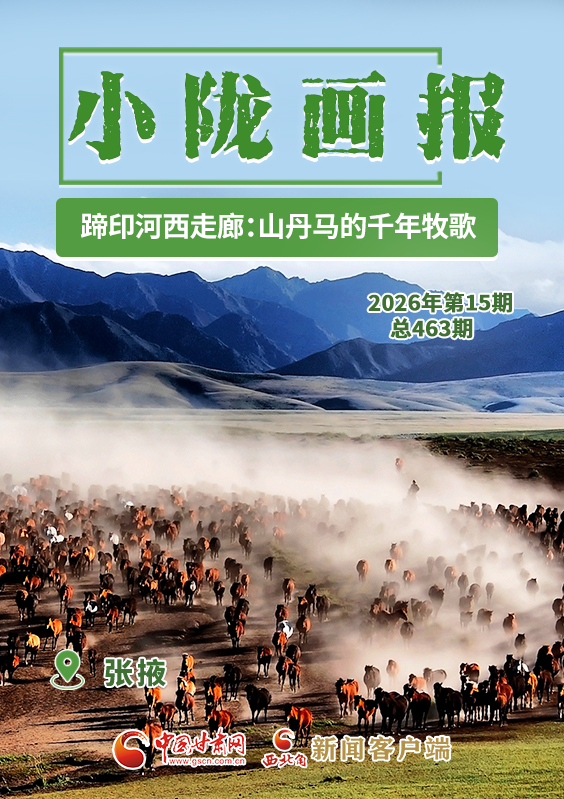 【小隴畫(huà)報(bào)·463期】蹄印河西走廊:山丹馬的千年牧歌