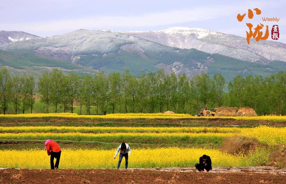 華亭 霧漫山灣隱村舍 春風又度山寨鄉(xiāng)
