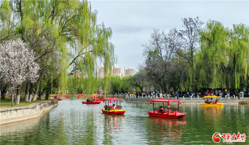 金城清明好風光 花映黃河游人醉