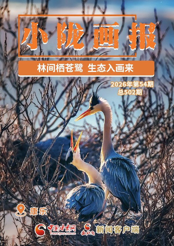 【小隴畫報·502期】康樂：林間棲蒼鷺 生態(tài)入畫來